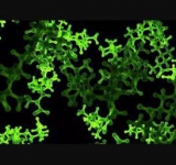 Les scientifiques savent enfin pourquoi toute vie sur Terre est composée des mêmes 20 acides aminés