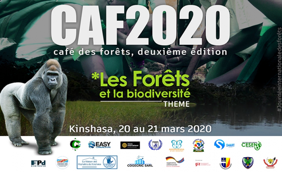 Café des Forêts, CAF 2020